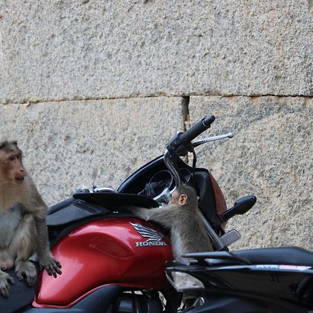 Sahasra Home Stay Hampi Hospet Bilik gambar