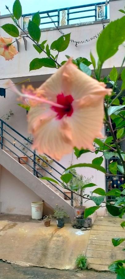 Sahasra Home Stay Hampi Hospet Luaran gambar